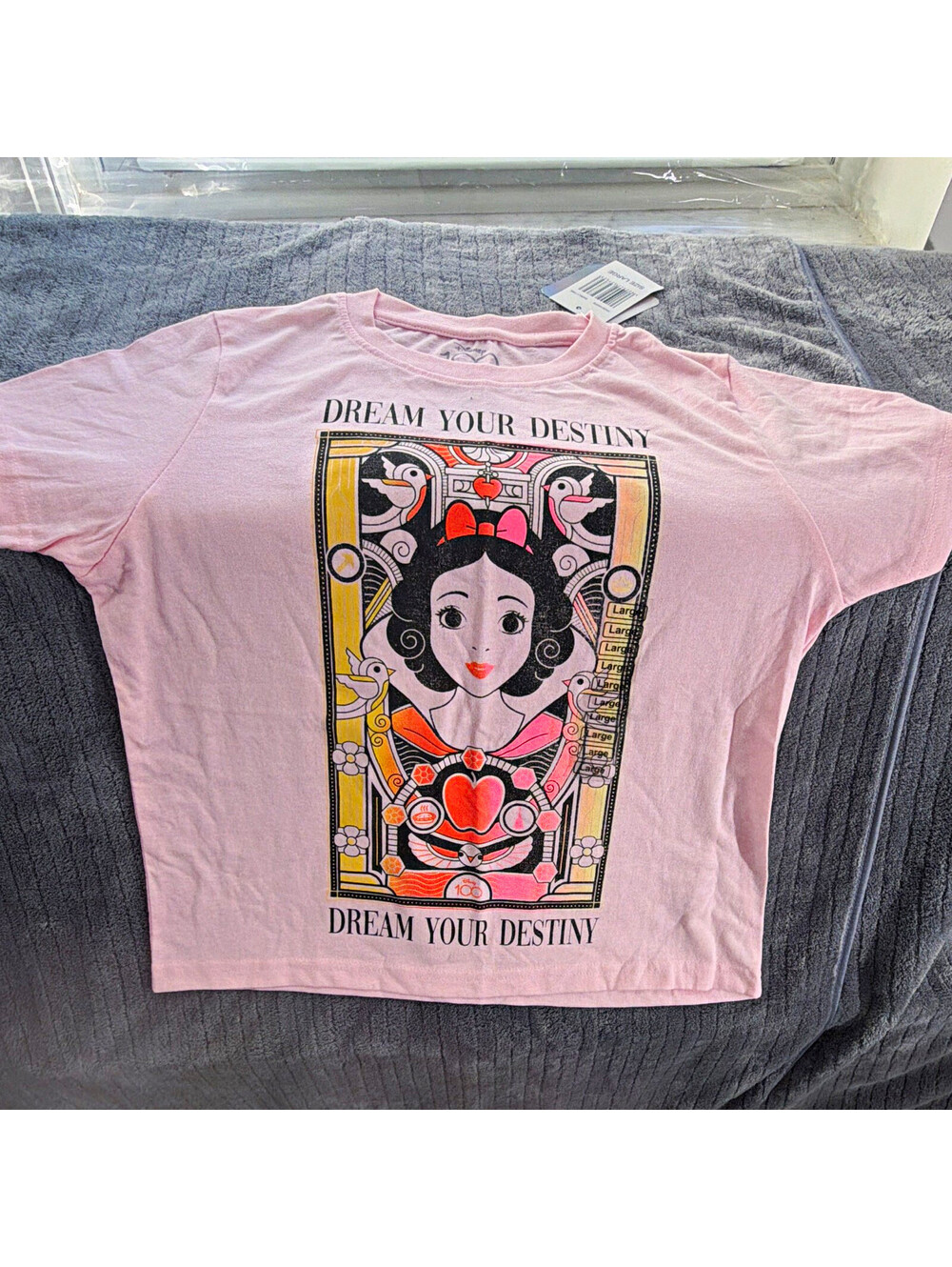 Disney 100 Snow White Dream Your Destiny Graphic T-Shirt Pink 2023 Kids L